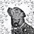 Juanita Smith's profile image
