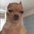 Fer Balderas's profile image