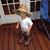 Apryl Smith Perry's profile image
