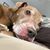Amy Luvylo's profile image