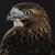 Bill Gnyp's profile image