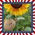 Margie Reed Kenney's profile image