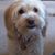 Marj Altman Hermann's profile image