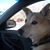 Charyl Bishop Ray's profile image