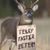 Barry Witmer's profile image