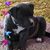 Martha Willis's profile image
