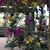 Mayra Brena Andalia's profile image