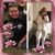 Tammy Bailey Lipson's profile image