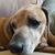 Barbara Johnson's profile image