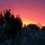 Lisa Rehder-Brandt's profile image
