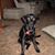 Angela Price Parsons's profile image