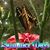 Vicky Gehris Fajfer's profile image