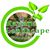 Tanveer Younas's profile image