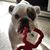 Jackie Shearer Stolhand's profile image