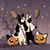 Denise Shuman Smith's profile image