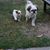 Lori Kennedy Skene's profile image