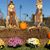 Judy Ford-Newby's profile image