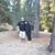 Christine Rebelo Nordyke's profile image