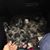 Mary Jarrard's profile image