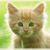 Patty Zielinski's profile image