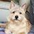 Cecile Braswell's profile image