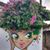 Tania Mamalikopoulou's profile image