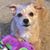 Tammy Peura McClellan's profile image