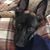 Kimberly Ailes's profile image
