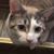 Tiffaney Gracia's profile image