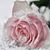 Lourdes Cruz Solis's profile image