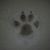 Danielle Sylak-Watson's profile image