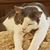Deborah Wright's profile image