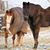 Lorita M Lindemann's profile image