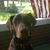 Cary Chereshkoff Rodriguez's profile image
