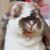 Sonja Holzman's profile image