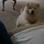 Kathy JoAnne Bresock-Austin's profile image