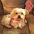Jana Marie West Kocian's profile image