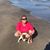 Laura June Chancey Prescott's profile image