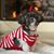 Angie Fuller Smith's profile image