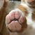 Colleen Doherty's profile image