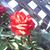 Margaret Spruce's profile image