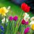 Connie A Smith's profile image