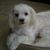Christine Le's profile image