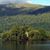 Liz Broadfoot's profile image