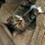 Mosey Cat's profile image