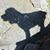 Leanne Kelly's profile image