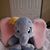 Lynn Kuecker Craig's profile image
