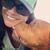 Tracy Sousa Enos's profile image
