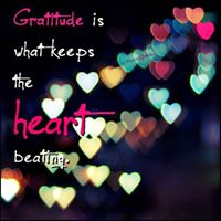 Kerrie Brining's profile image