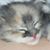 Lori Ann's profile image